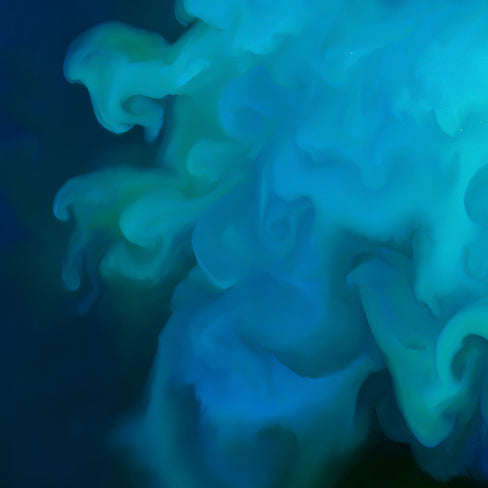 Marine Plankton